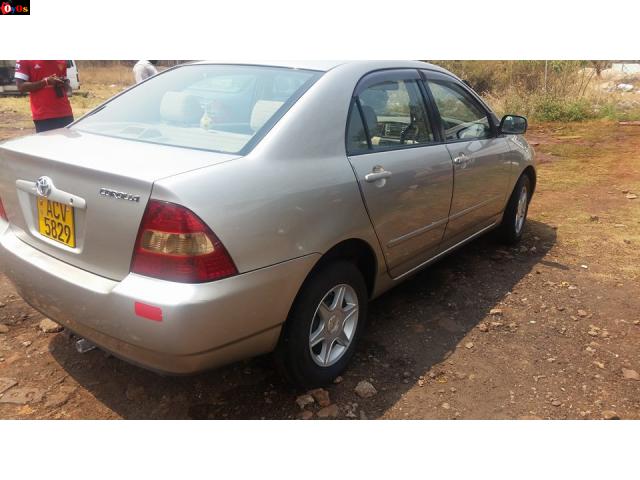 2002 Toyota Corolla Bubble 96 000kms on the dash Automatic